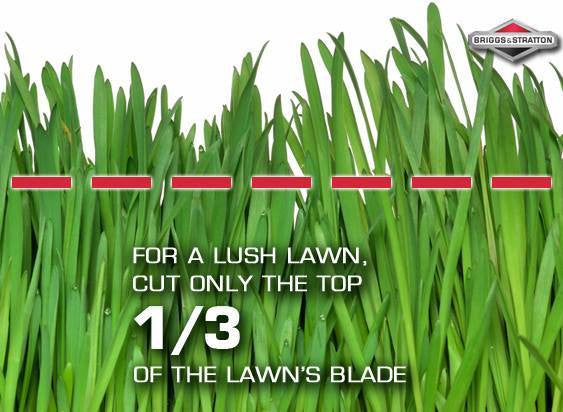 Different styles of mower blades