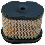 Air Filter replaces Briggs & Stratton 697029