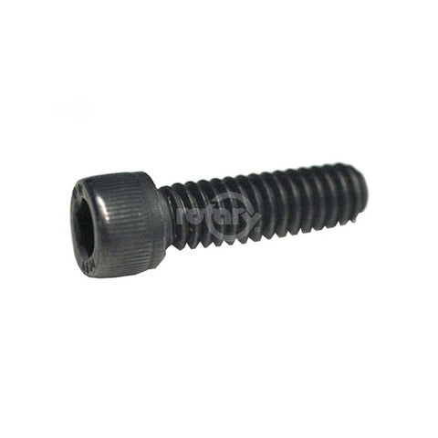 SCREW SOCKET 1/4-20 X 7/8"