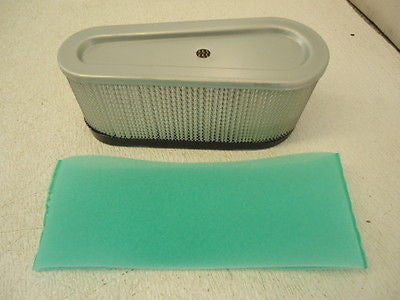 Air Filter Combo for Briggs & Stratton 493909 272403S